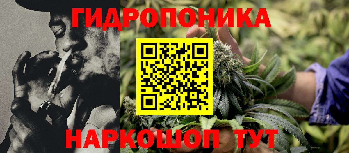 МАРИХУАНА Bruce Banner  МАРИХУАНА индика  Вологда  Бошки марихуана ГИДРОПОН  Вход с VPN  Каннабис Amnesia 